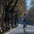 Tramvia di Campo di Marte, i cantieri partono a novembre