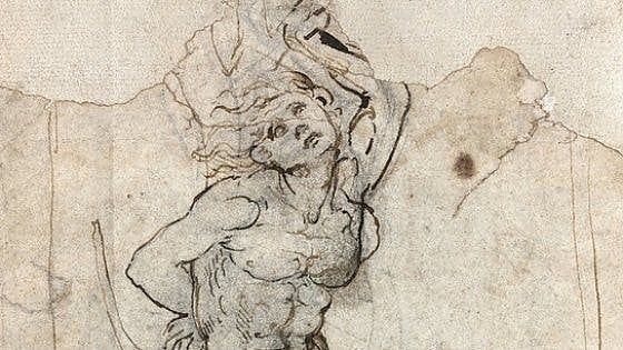 Parigi, il San Sebastiano di Leonardo all'asta a giugno