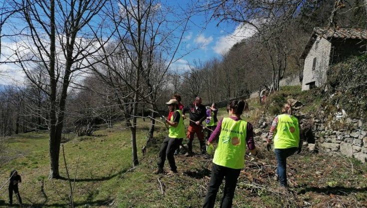 A La Verna torna a vivere l'antico orto dei Francescani 