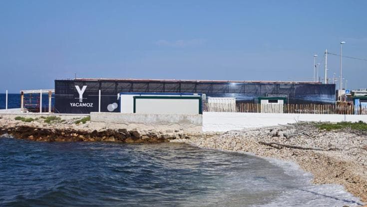 L’ex Reef cambia nome e riapre: ecco lo Yacamoz con posti all’aperto e cucina di mare