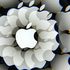 Cosa sappiamo dell’iPhone 18 Pro che debutterà a settembre