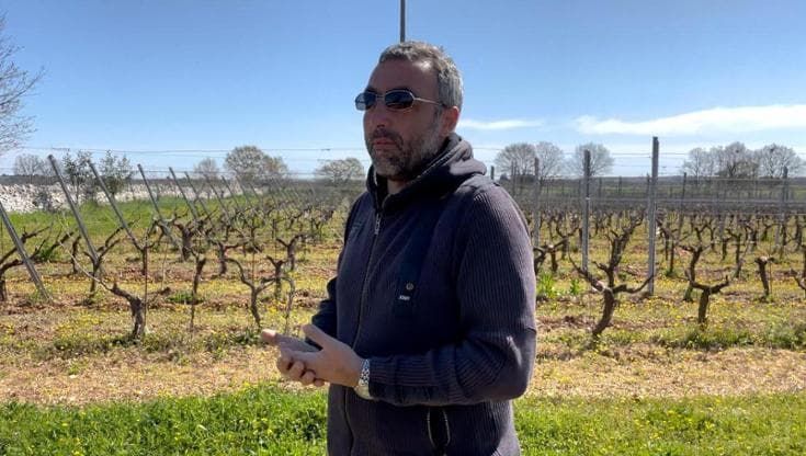 In vigna con Pasquale Petrera: "Gioia del Colle e il Primitivo, che ha rischiato di scomparire"