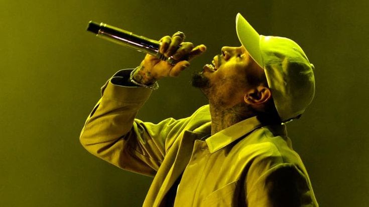Chris Brown condannato per l’aggressione del cane alla governante. Multa di 12,9 milioni di dollari