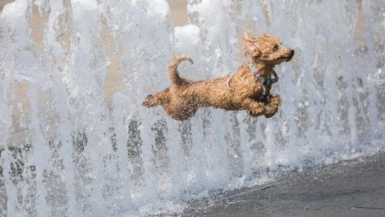 Meteo, oggi e domani pioggia al nord. Ma il weekend sarà torrido ovunque