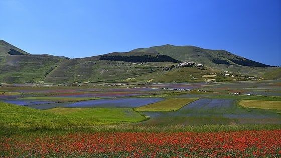 Turismo. La ripresa comincia da mare e montagna. Ma manca ancora un turista su due