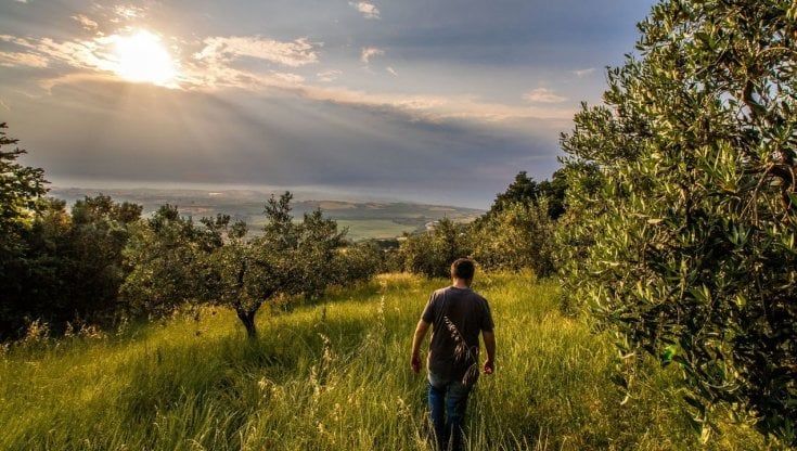 Adottare un agricoltore per salvaguardare la biodiversità