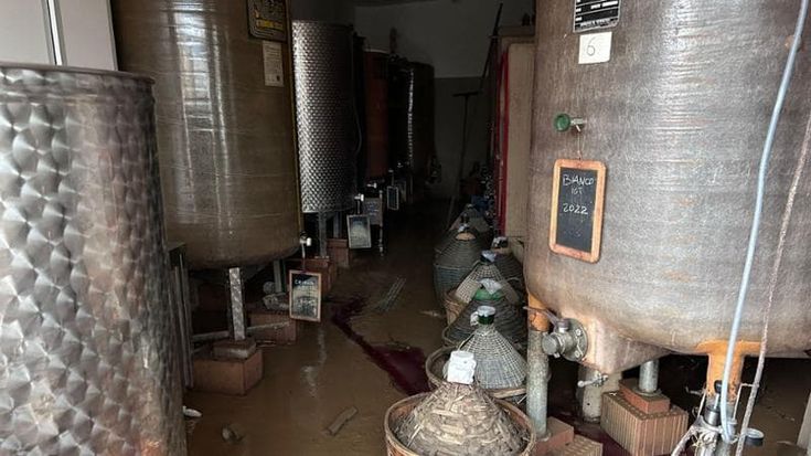Bottiglie danneggiate dall'alluvione, agriturismo svende il vino per rialzarsi: "Chiamate da tutta Italia"