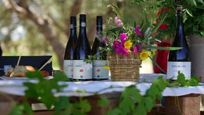 La Calabria del vino che non ti aspetti