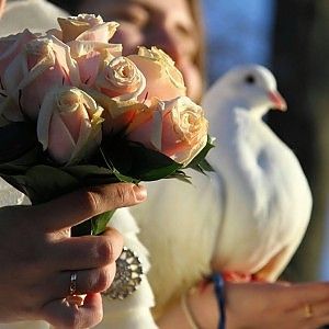 Nozze da sogno con i professionisti del "wedding"