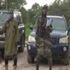 Nigeria, Boko Haram proclama 'califfato islamico' nella città di Gwoza