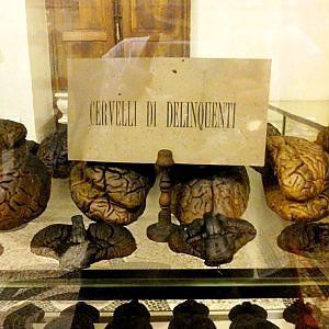 Torino, un libro contro Lombroso: "Chiudiamo il suo museo". Scoppia la polemica