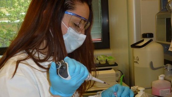 Ricerca: a Salerno nasce un laboratorio per giovani