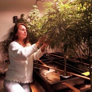 L'alleanza della cannabis terapeutica