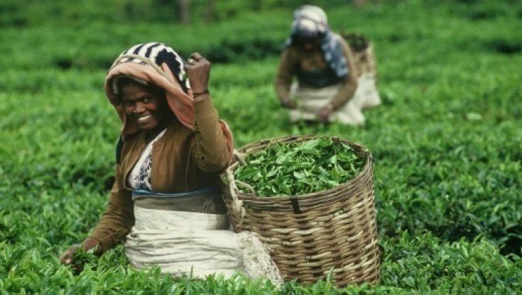 Pandemia, quando si sta dalla parte dei produttori più deboli che hanno subìto le conseguenze più amare 