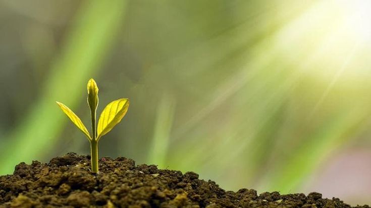Rivoluzionare l'agricoltura con la chimica verde