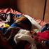 Ebola, in Sierra Leone e Liberia scatta una quarantena per 4 giorni