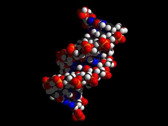 Embrioni in provetta, ecco i traguardi della scienza