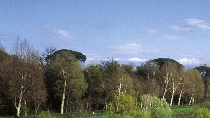 Caldo estremo, il futuro per il Lamma: “È la nuova normalità, servono più aree verdi”