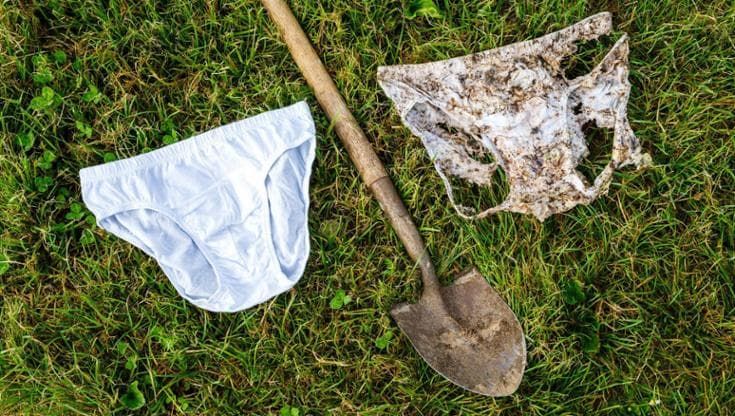 IgNobel 2026: cosa non ci si inventa per aiutare l’ambiente. Ecco chi sono i vincitori