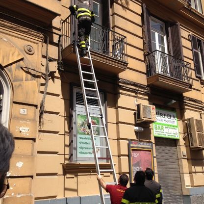 Come in un film il salvataggio del gabbiano