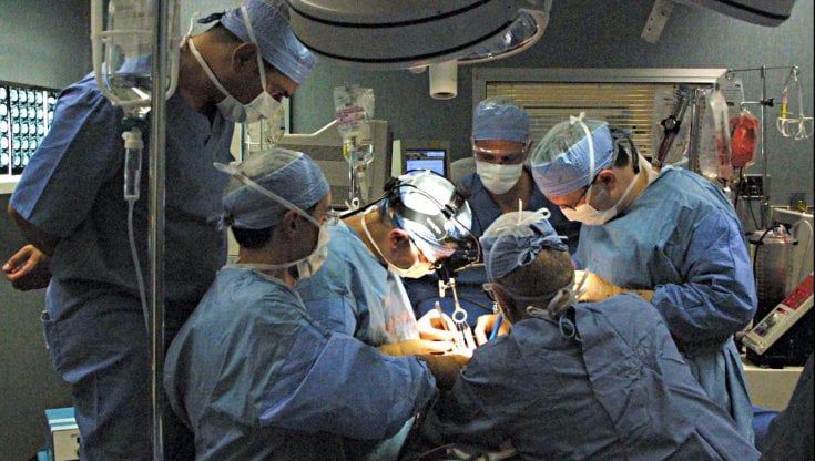 Il Covid non ferma le donazioni d'organi: il Piemonte un'eccezione in Europa