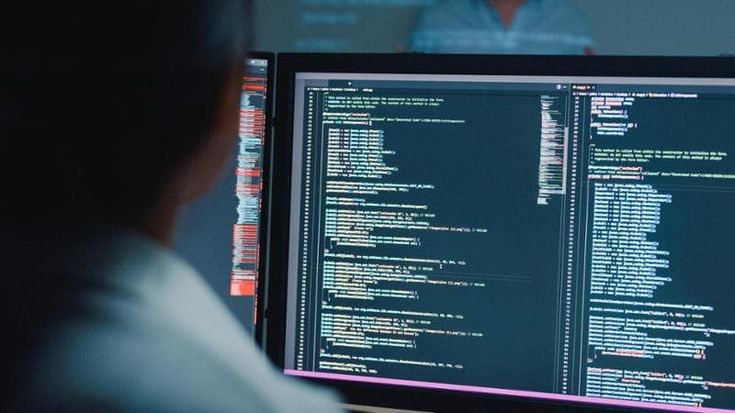 Its Academy, 9 studenti egiziani in Puglia per diventare sviluppatori software