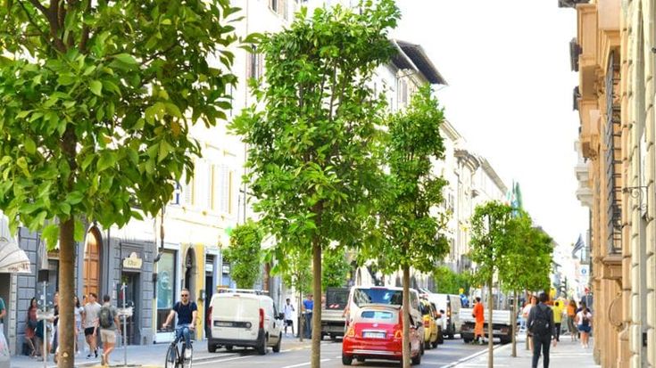 Nardella e la nuova via Cavour: “Risultato eccellente e gli aranci sono vivi e vegeti”