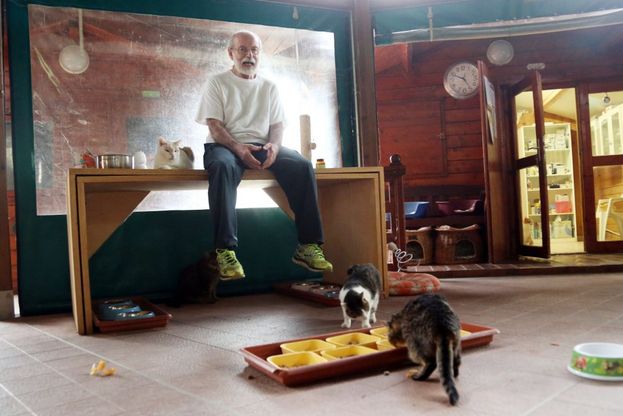 L'ex manager che fa il gattaro: "Giù le mani dalla mia Oasi felina"