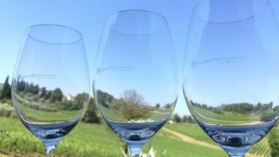 Biodinamica in festa sulle colline (e nei ristoranti) di Lucca 