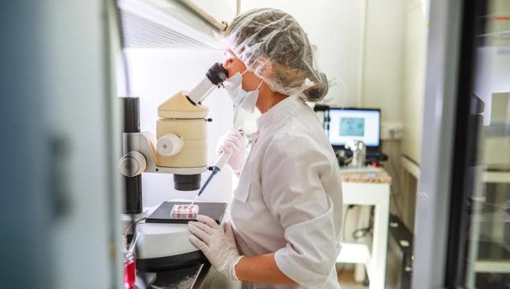 Distrofia di Duchenne, un veicolo intelligente porta i farmaci dove servono