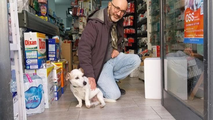 Jack, cagnolino-mascotte di via Trevisani: “Da 12 anni presenza fissa in negozio e sul marciapiede”