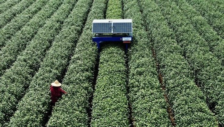 Perché la Cina ha vinto la corsa all’IA con gli Usa