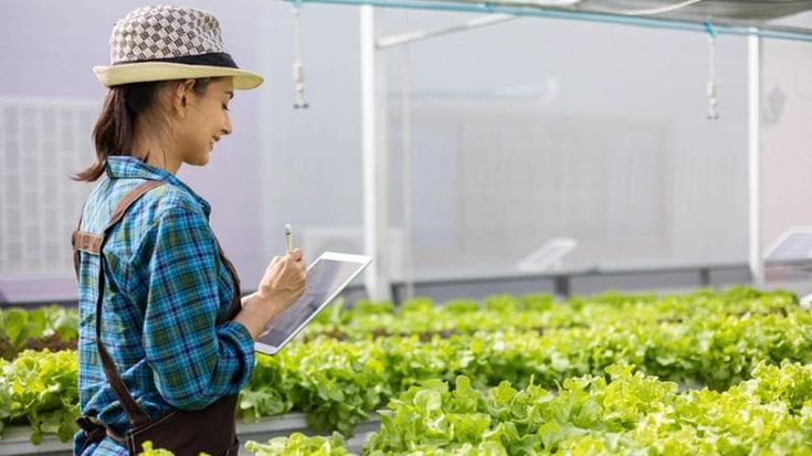 L’agrifood tech accelera in Italia: 167 milioni di investimenti nel 2023