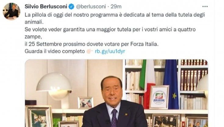 "Si discute tanto e male": ai social questa campagna elettorale non piace. M5s e FdI si dividono la scena 