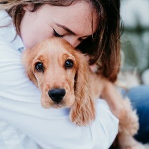 Veterinari online per curare gli amici a quattro zampe