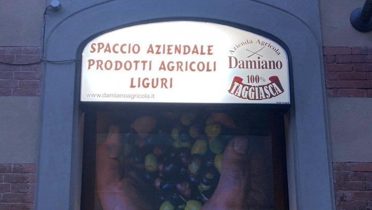 Dall’olio al patè di olive,  la Riviera di Ponente a Torino