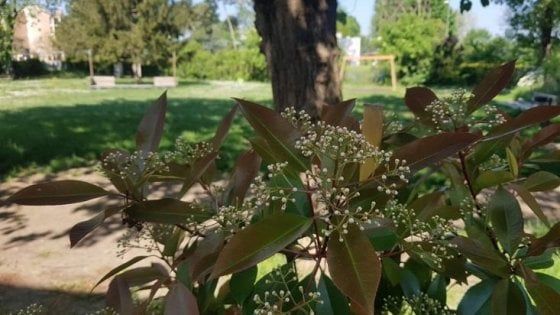 Bologna, il parco del circolo la Fattoria accoglie le famiglie con persone autistiche