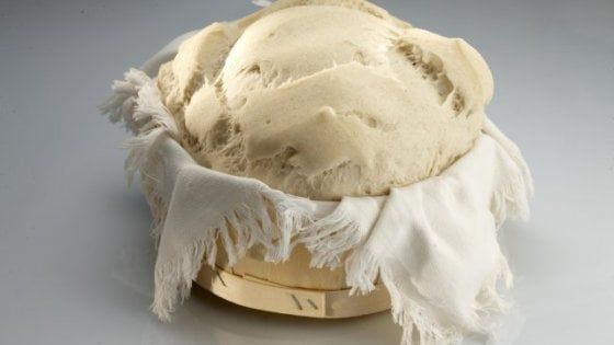 Dalla Calabria alla cucina (passando per il cinema): i colori del pane secondo Sara Papa