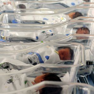 Milano, Giulia e Leonardo stracciano tutti: ma tra i nuovi nati ci sono anche Jolie e Blue