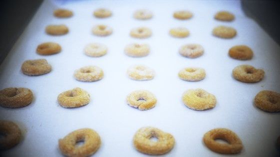 Oltre il sisma: ciambelline all'anice di Tolentino