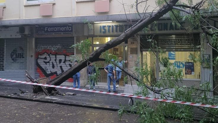 Maltempo a Napoli, sgomberati tre appartamenti a Mergellina, cade un albero in via Guantai Nuovi