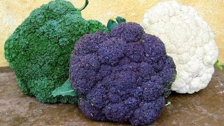 Agricoltori milanesi contro il mercato di largo Augusto: “Km zero? Prodotti arriveranno da Mantova”