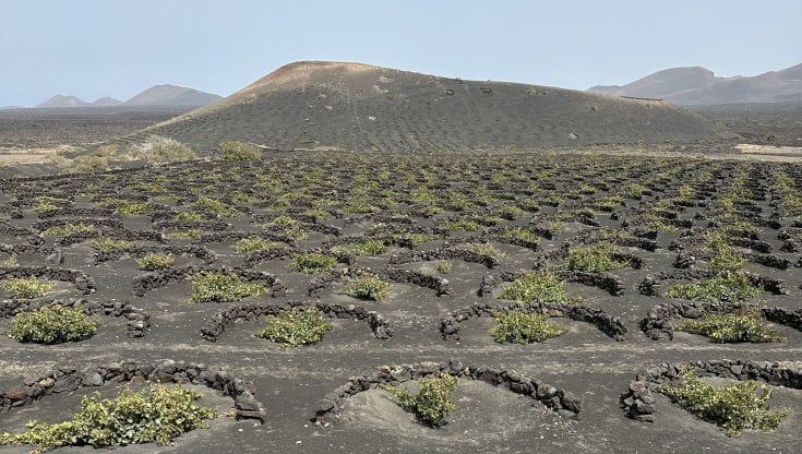 Viaggio a Lanzarote, tra i filari del vino della Luna 
