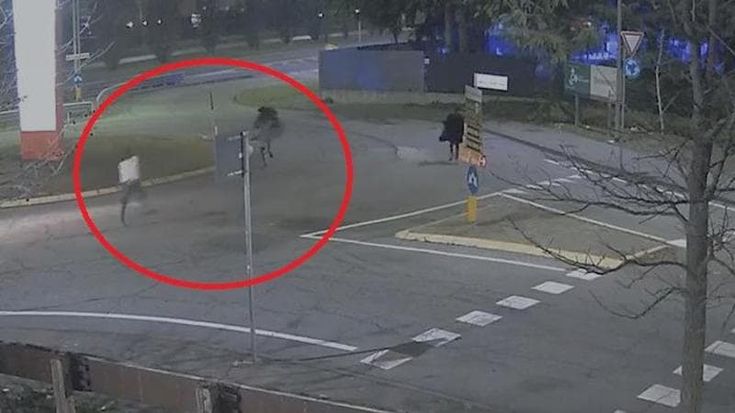 Prostituta aggredita e accoltellata nella notte a Monza: arrestato un uomo grazie al dna sulla lama