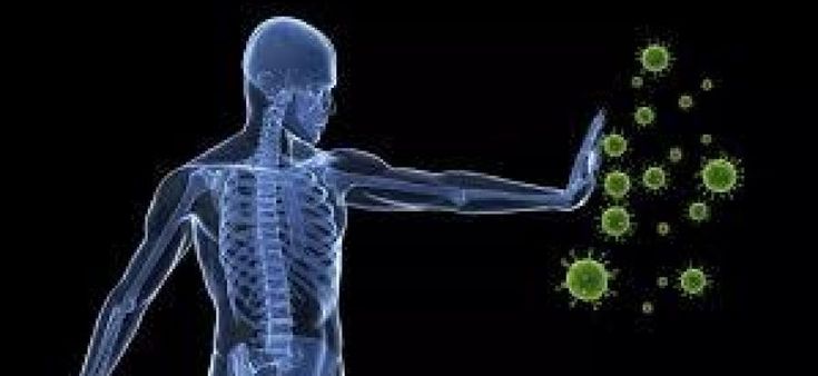 "Così imbroglio il nostro organismo per farlo rispondere meglio ai virus"