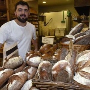 Maestri panettieri: cinque piemontesi tra i top in Italia