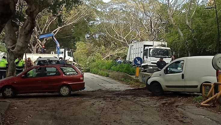 Alberi abbattuti dal vento: strada chiusa alla Favorita, traffico in tilt alla circonvallazione