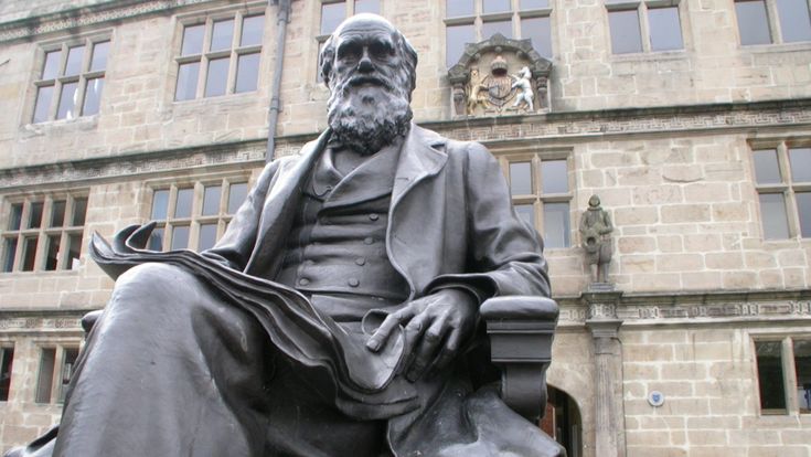 Animalia. I lombrichi di Darwin come Alice nel paese della meraviglie