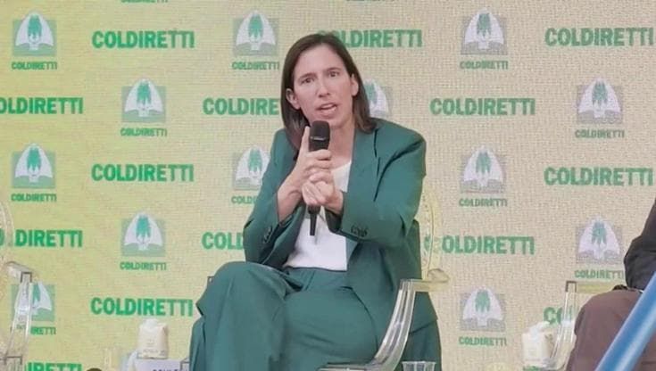 Scontri a Milano, Schlein: "Se Crosetto ha informazioni su guerra ibrida riferisca in Parlamento"