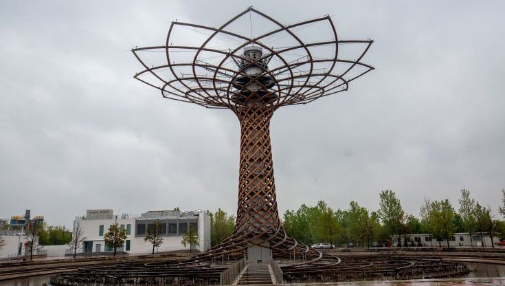 Ex area Expo, le prime vie di Mind dedicate ai grandi innovatori. E c'è anche Rita Levi Montalcini